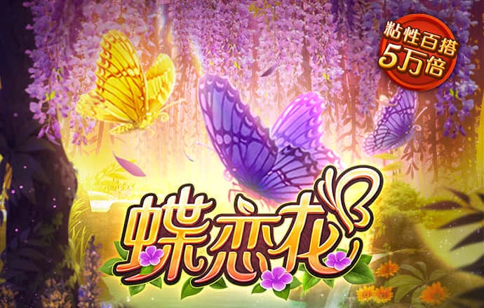 港澳宝典11133cm查询的应用功能