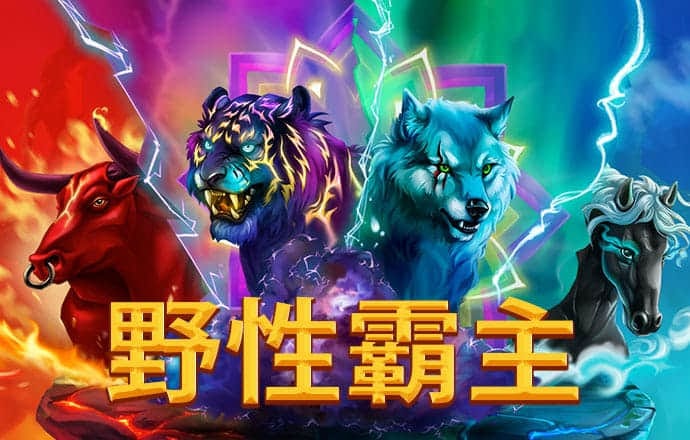 盈嘉体育app官网